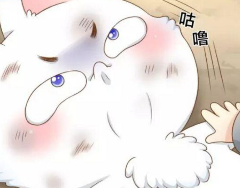 小狐狸最近怎么不更新了-小狐狸最近怎么不更新了呢