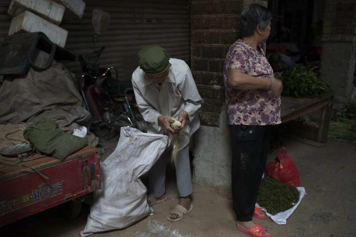 包含电报员周大爷主页的词条