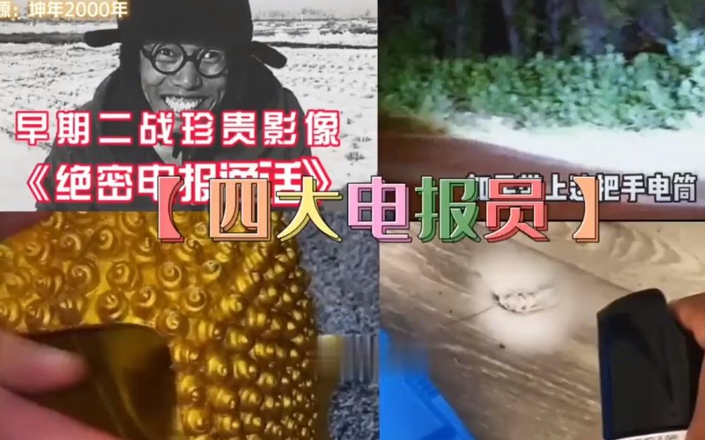 详细阅读:关于老电报员什么梗的信息 关于老电报员什么梗的信息