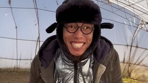 关于老电报员什么梗的信息