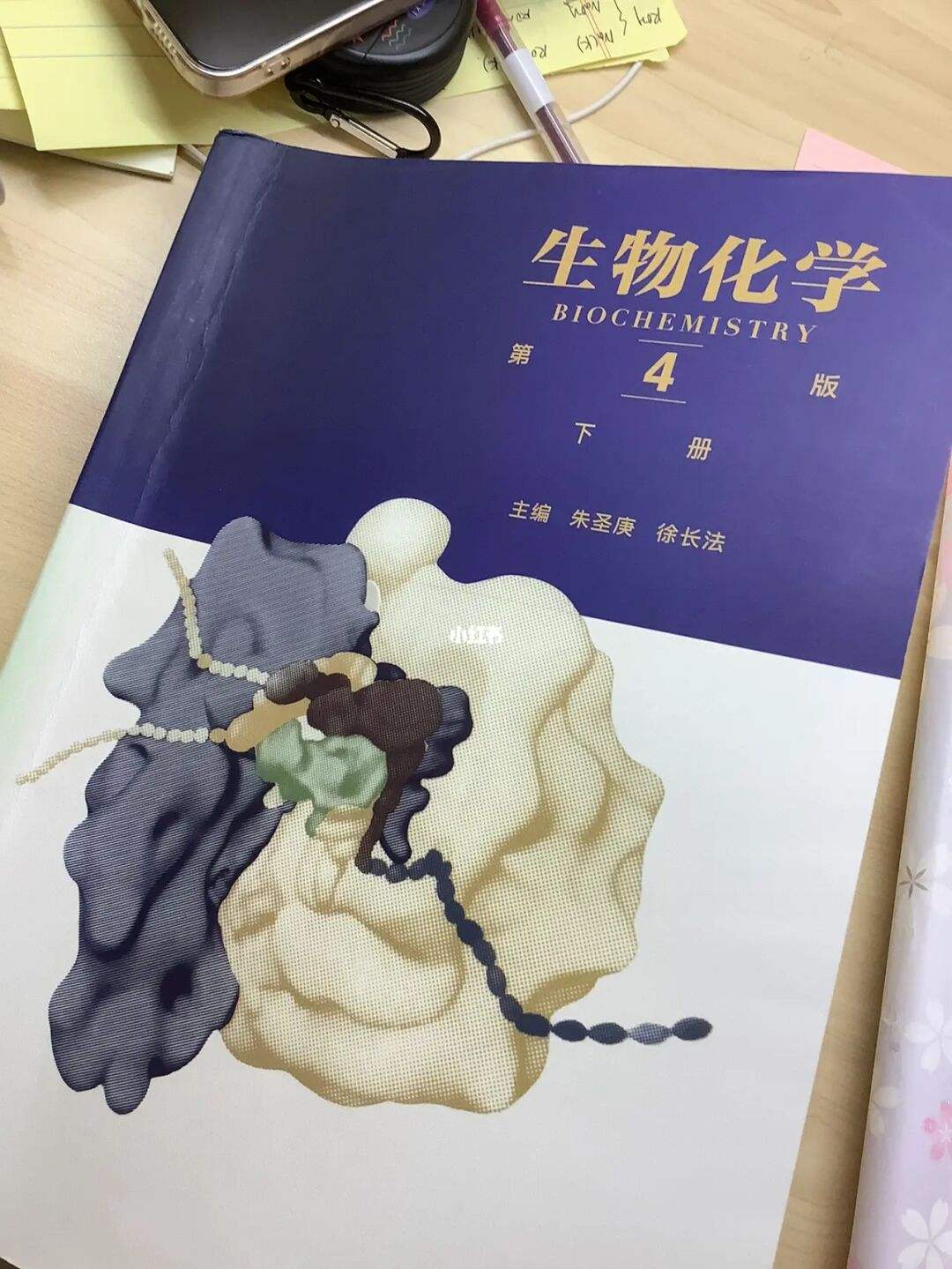 生物化学TG是什么意思-生物化学gpt什么的缩写