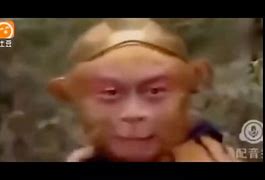 猴子电报员原声-猴子电报员原声14年
