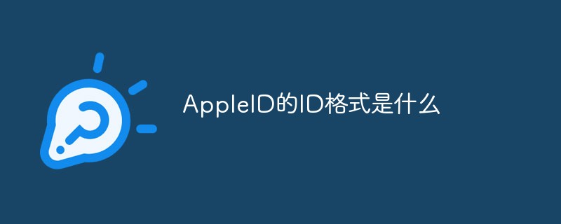 电报新手入门-电报的基本操作知识