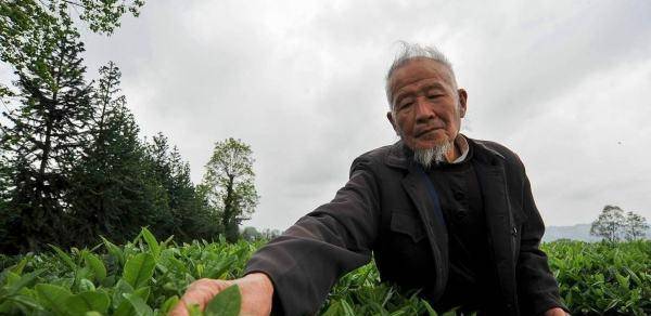 电报员周大爷上电视了吗-电报员周大爷上电视了吗是真的吗