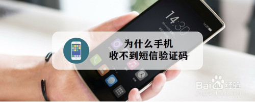 苹果小飞机收不到验证码-苹果飞机收不到验证码怎么办