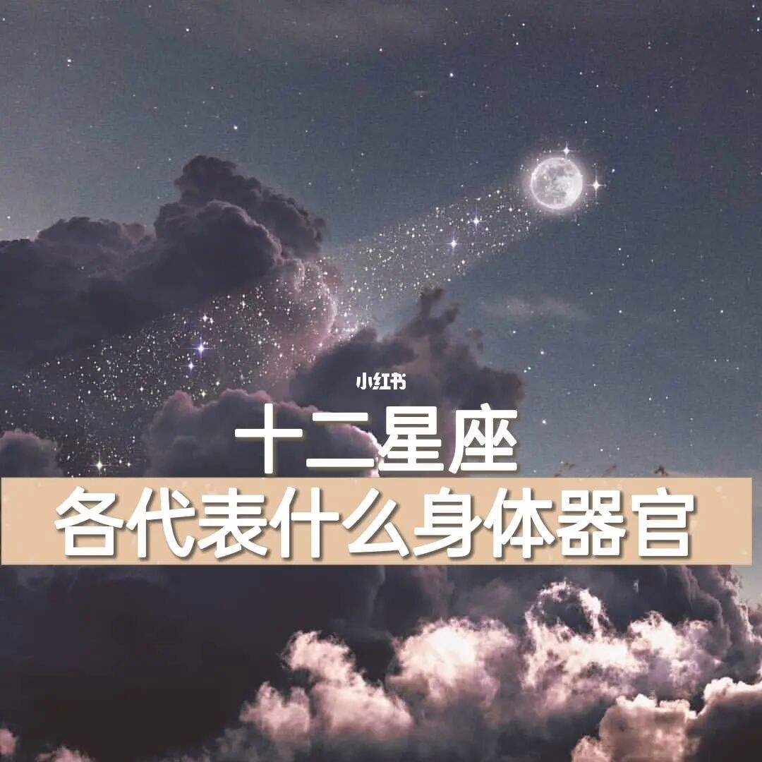 身体器官什么部位缩写是TG的简单介绍