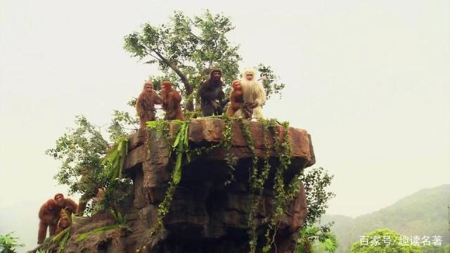 花果山电报猴的视频-花果山电报猴视频出自