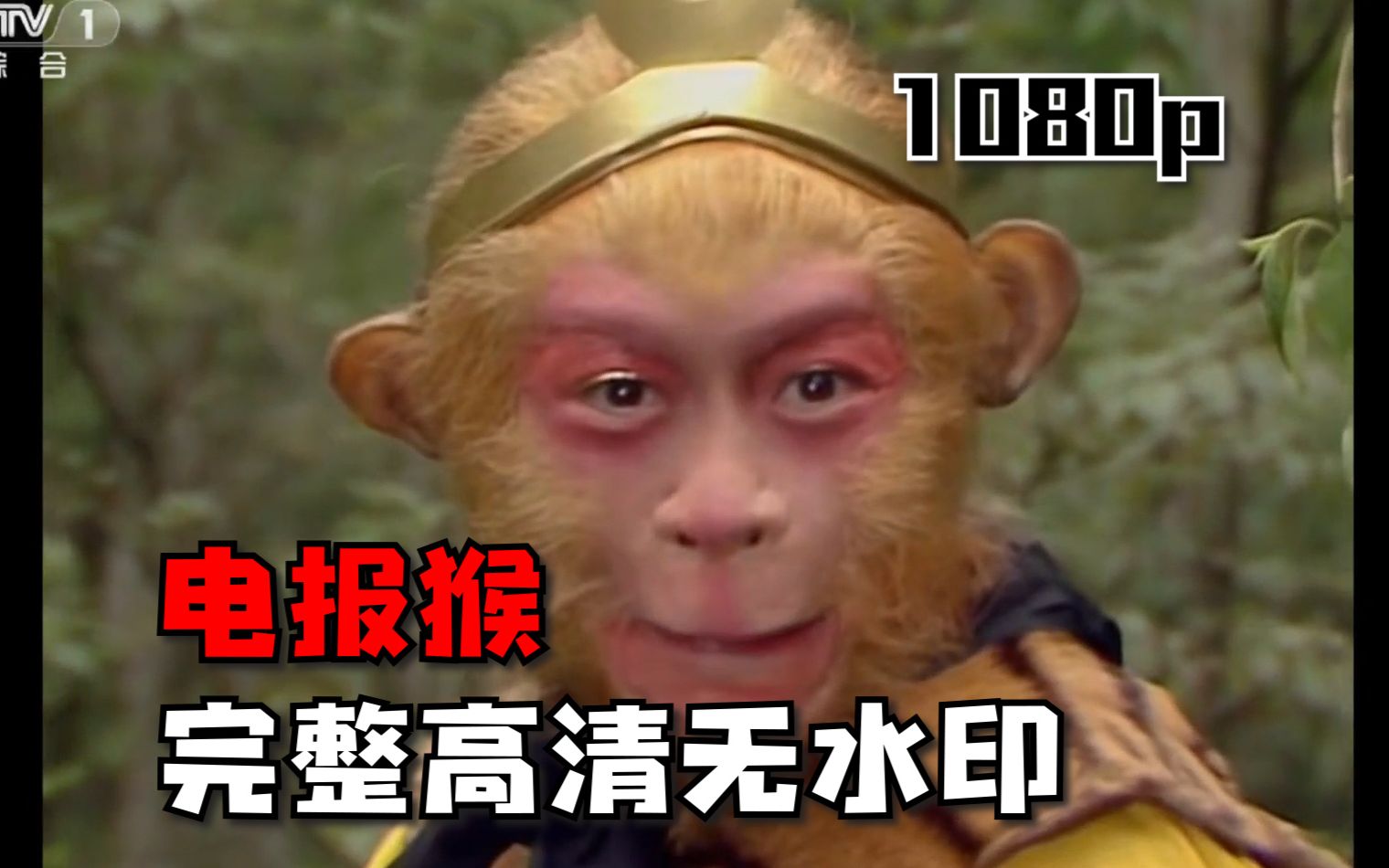 电报猴原话-电报猴高清视频