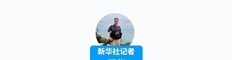 电报猴视频倒放-电报猴子骂人原视频