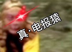 花果山无消音电报员-花果山电报猿无消音原视频