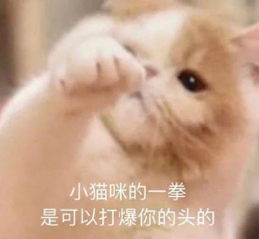 骂人电报文字-骂人电报文字怎么写