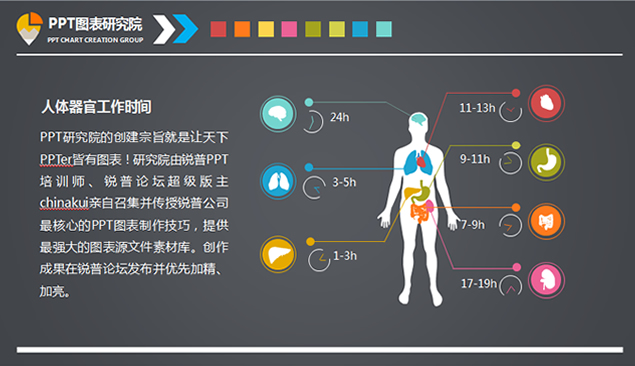 关于身体器官什么部位缩写是TG的信息
