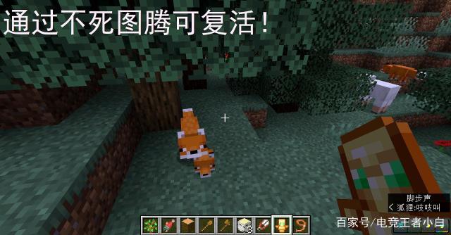 小狐狸新版本-小狐狸剪辑软件