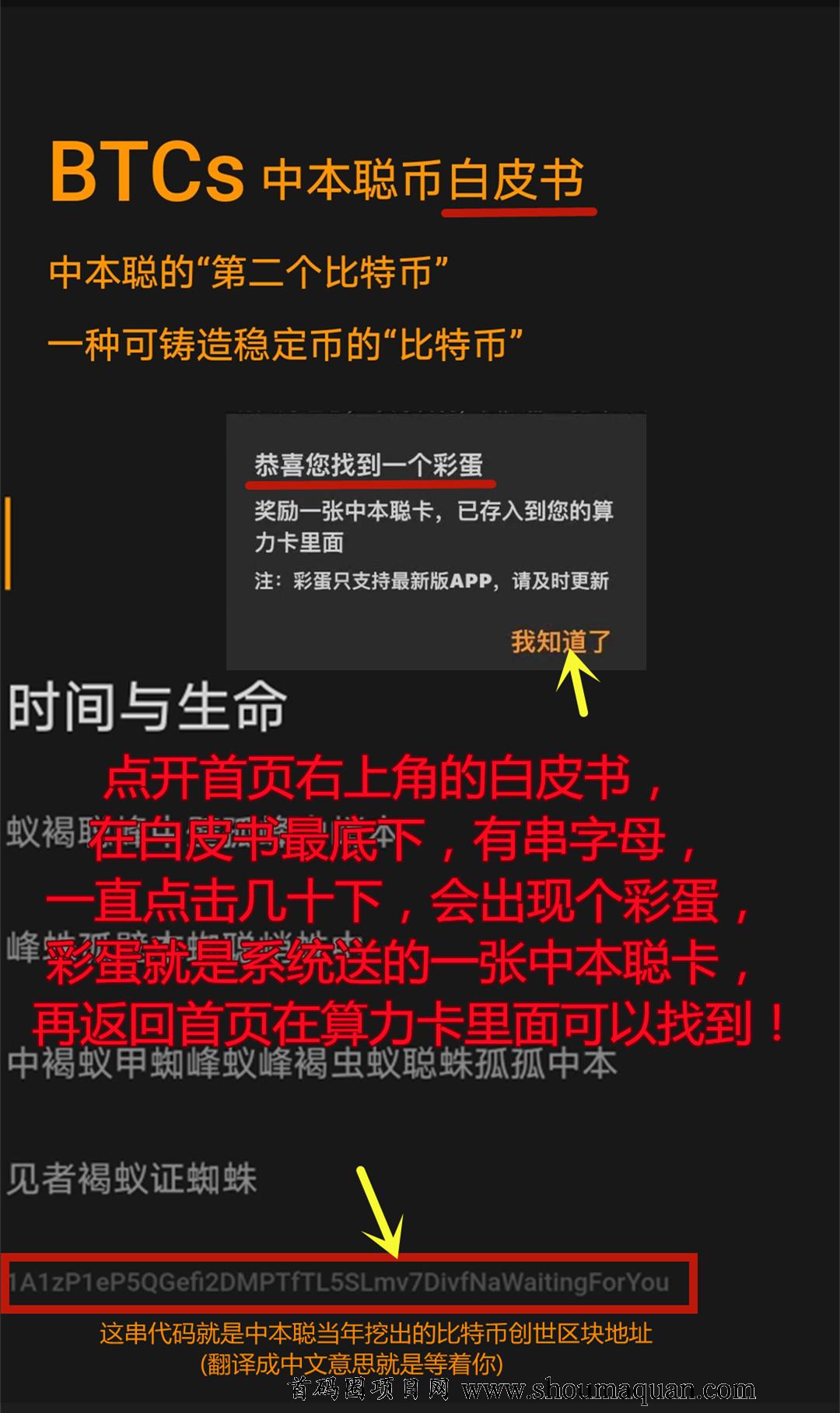 关于中本聪主网已经可以了的信息