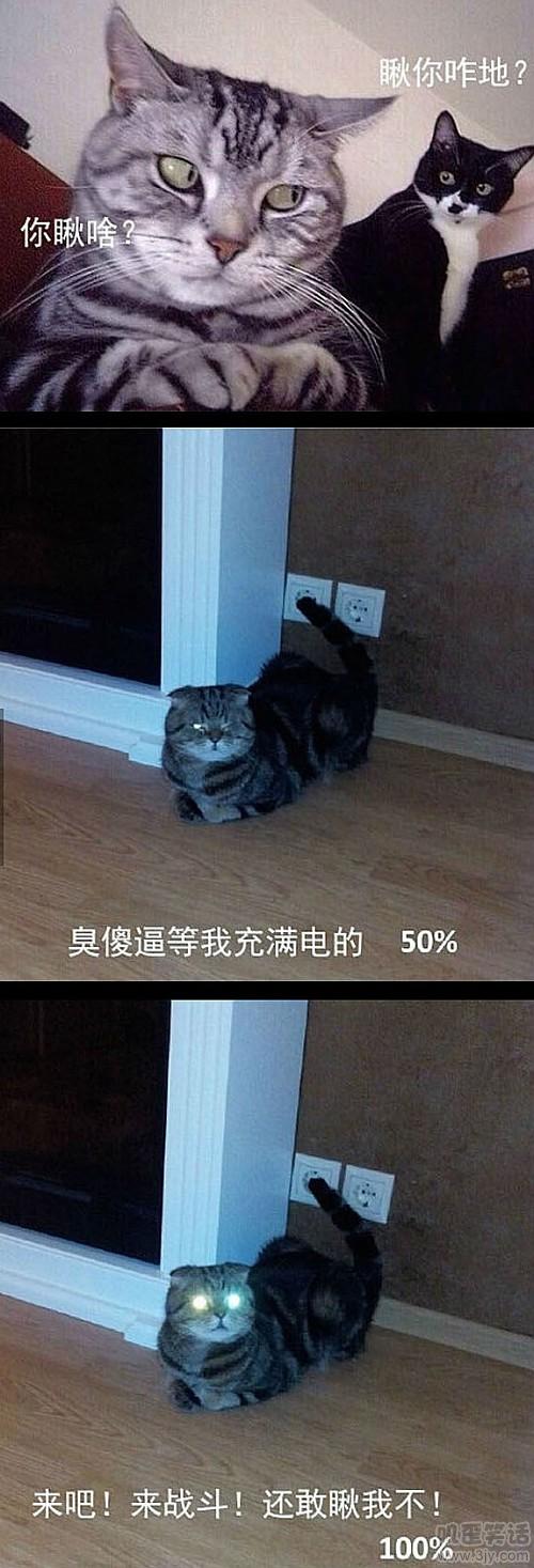 搞笑电报声音-搞笑电报声音视频