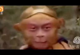 电报猴你看你长得那B样无消音-电报猴你看你长得那B样无消音讲了啥