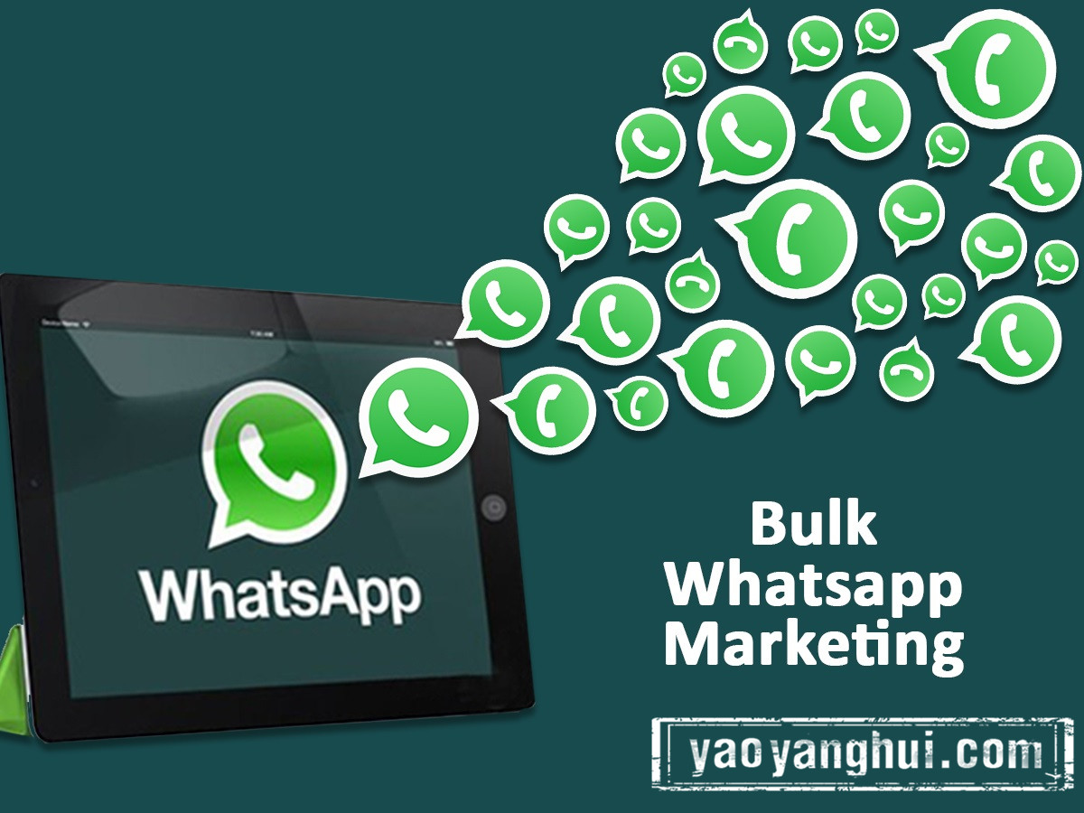 whatsapp为什么国内不能用-whatsapp在国内为什么不能用