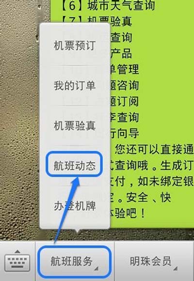 飞机软件英文名字怎么写-飞机软件英文名字怎么写的