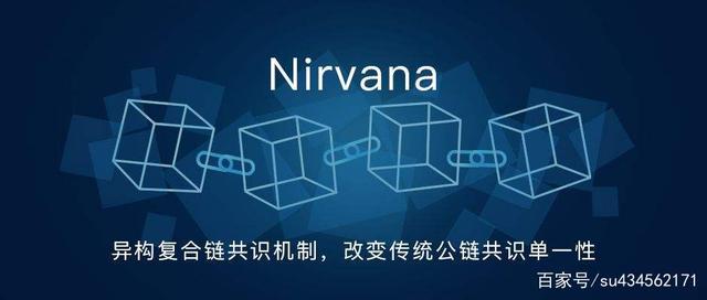 公链都有哪些-公链有哪些特点