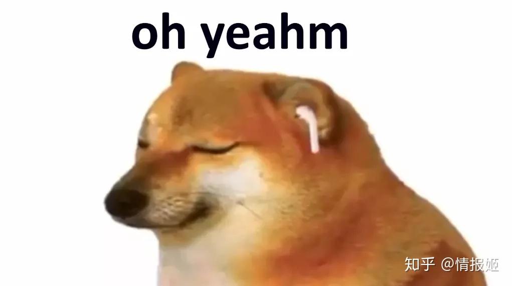 doge-doge搜索引擎官网