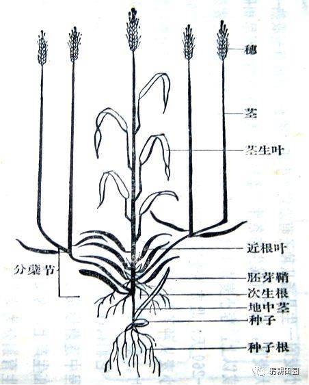 详细阅读:包含麦子钱包可以购买usdt吗的词条 包含麦子钱包可以购买usdt吗的词条