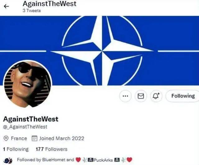 twitter什么是电报群-twitter电报群什么意思