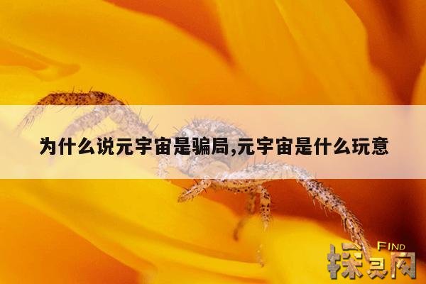 元宇宙骗局-米虫元宇宙骗局