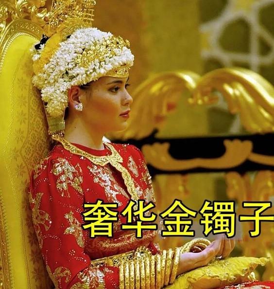 包含美元公主嫁贵族的词条