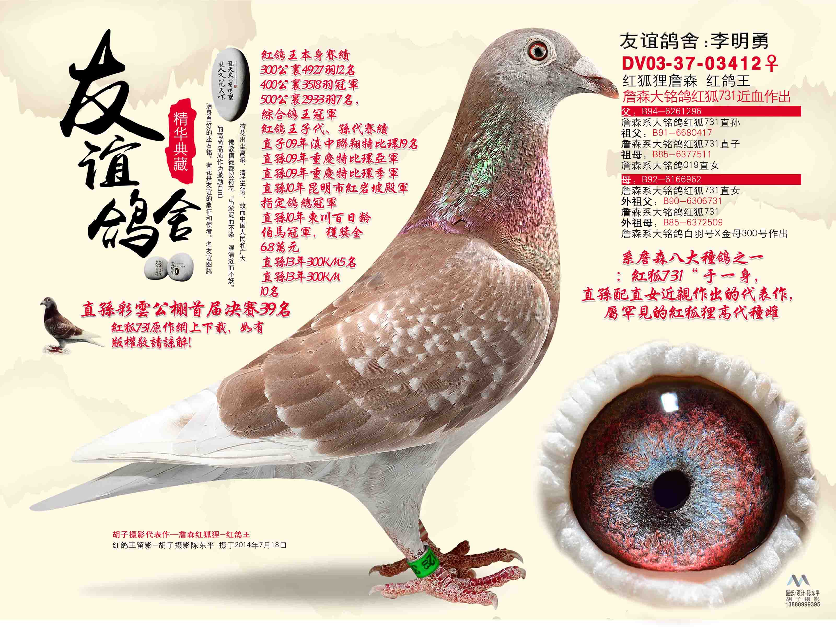 红狐狸葡萄酒-狐狸酒标的红酒