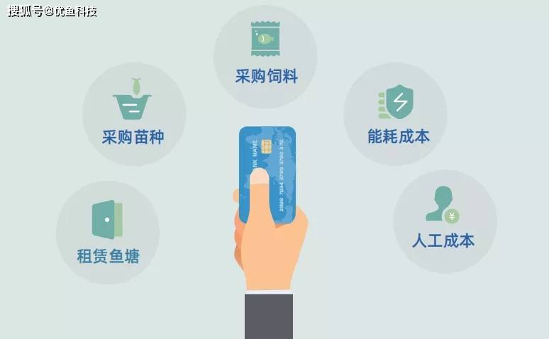 u支付是什么平台-ustd交易app下载