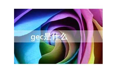 详细阅读:什么是GEC-什么是GEC考试 什么是GEC-什么是GEC考试