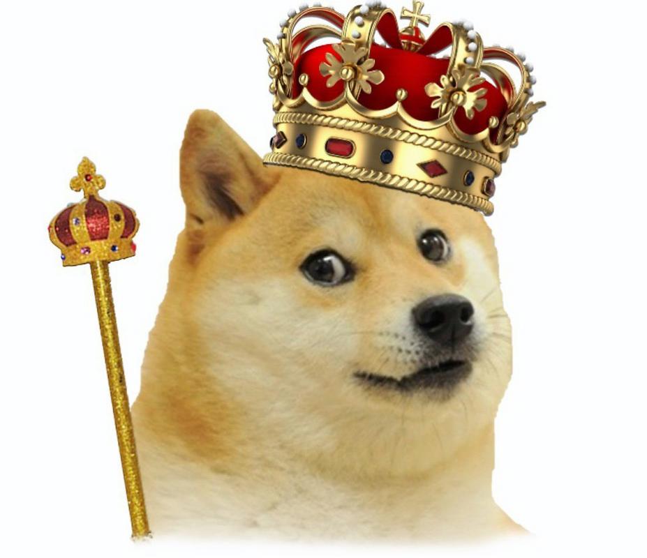 doge-doge在聊天中什么意思