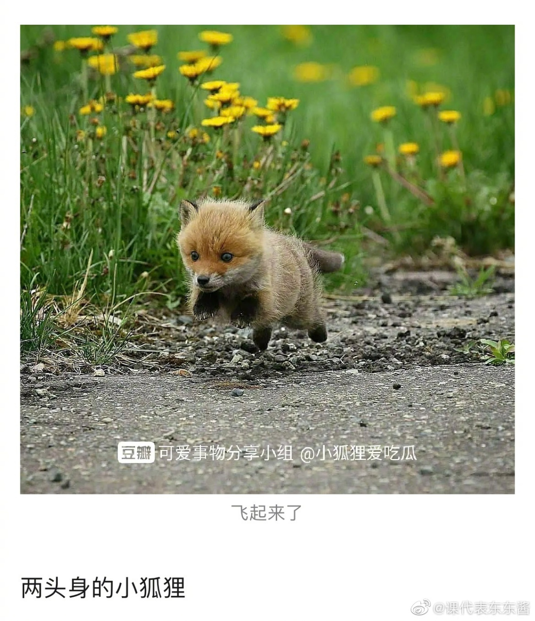详细阅读:小狐狸回家地址-永久github2023 小狐狸回家地址-永久github2023