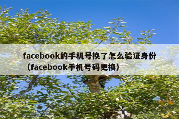 book收不到验证码-为什么在笔记本电脑上面收不到验证码