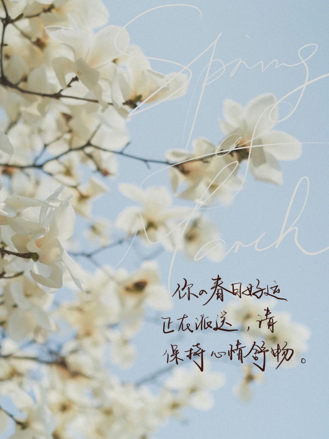 ipad纸飞机闪退-纸飞机一直显示网络不行