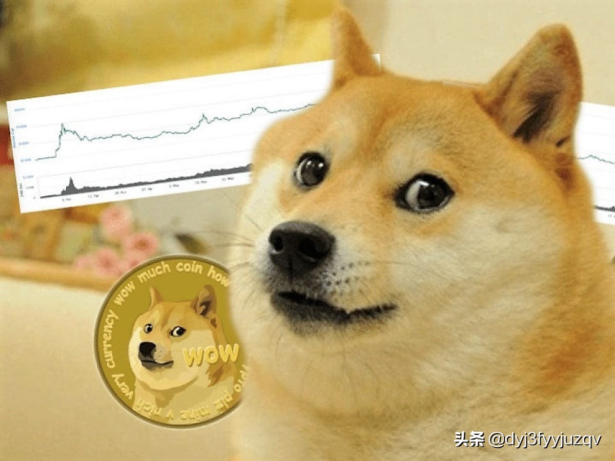 usdtdoge-usdt地址怎么创建