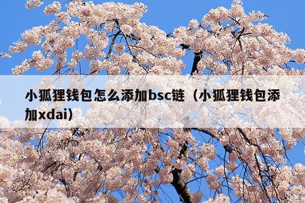 小狐狸钱包可以开多少账户-小狐狸钱包可以开多少账户啊