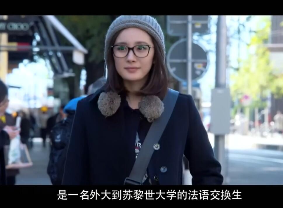 翻译官-翻译官小说