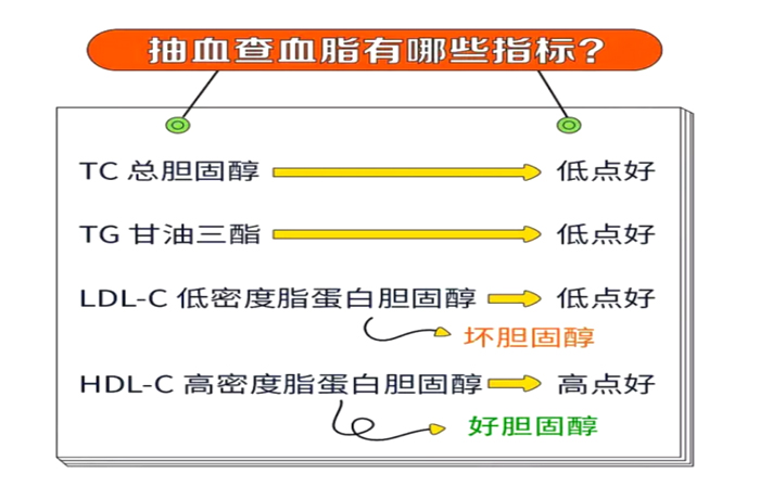 TG升高的临床意义的简单介绍
