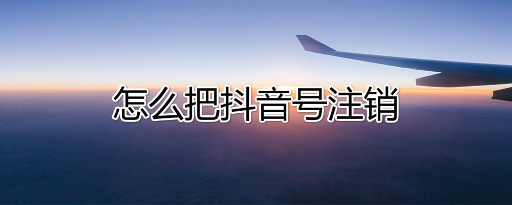详细阅读:安卓飞机号怎么注销-安卓飞机怎么注销账号 安卓飞机号怎么注销-安卓飞机怎么注销账号