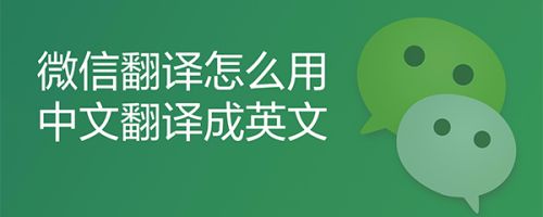 pocket翻译成中文-pocket翻译中文怎么读