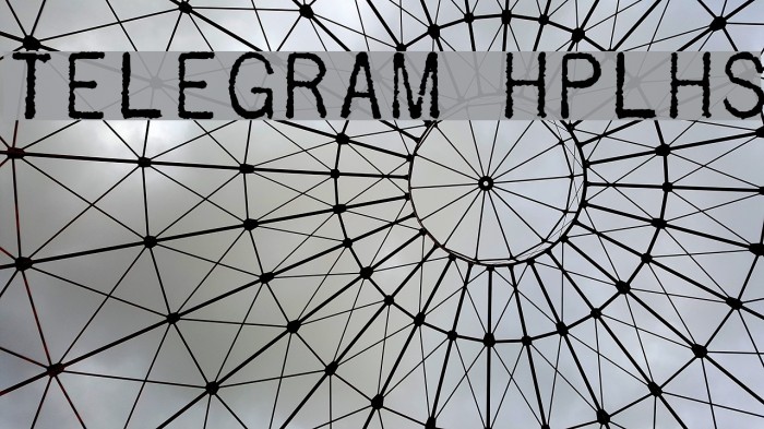 详细阅读:telegeram.org.dl-telegeram中文版app下载安装 telegeram.org.dl-telegeram中文版app下载安装