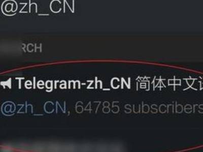 苹果纸飞机设置中文版-苹果纸飞机软件怎么设置中文