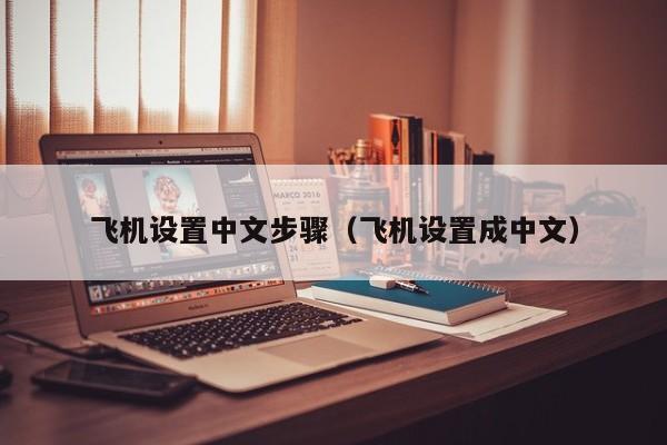 苹果纸飞机中文版怎么设置-苹果的纸飞机怎么弄成中文版