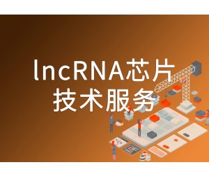 欧意百度百科-欧意这个牌子怎么样