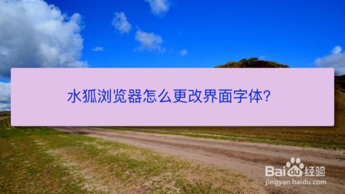 狐狸钱包app怎么设置中文字体-狐狸钱包app怎么设置中文字体样式