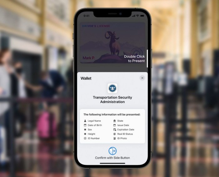 小猪钱包ios-小猪钱包查征信吗