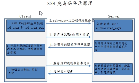 怎么看TP钱包的公钥和私钥的简单介绍