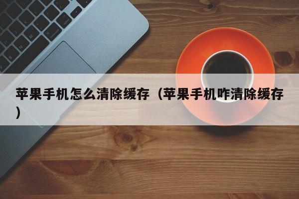 详细阅读:小飞机怎么清理缓存-小飞机怎么清理缓存文件 小飞机怎么清理缓存-小飞机怎么清理缓存文件