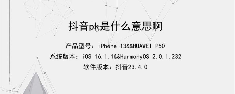 pk是啥意思-快手打pk是啥意思